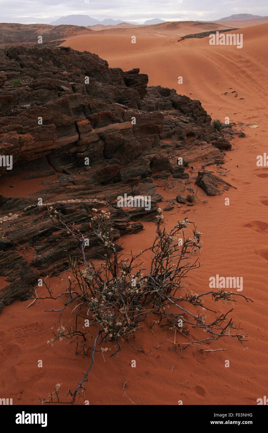 La Namibie, région de Kunene, Serra Cafema, desert Banque D'Images