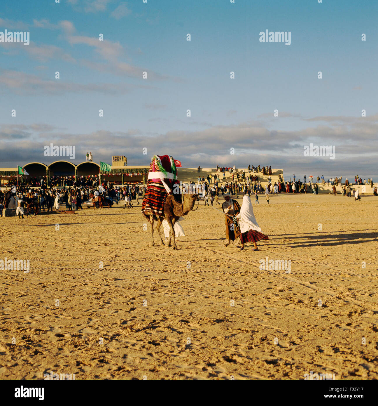 Camel avec chaise, festival berbère, Douz, Tunisie. Banque D'Images