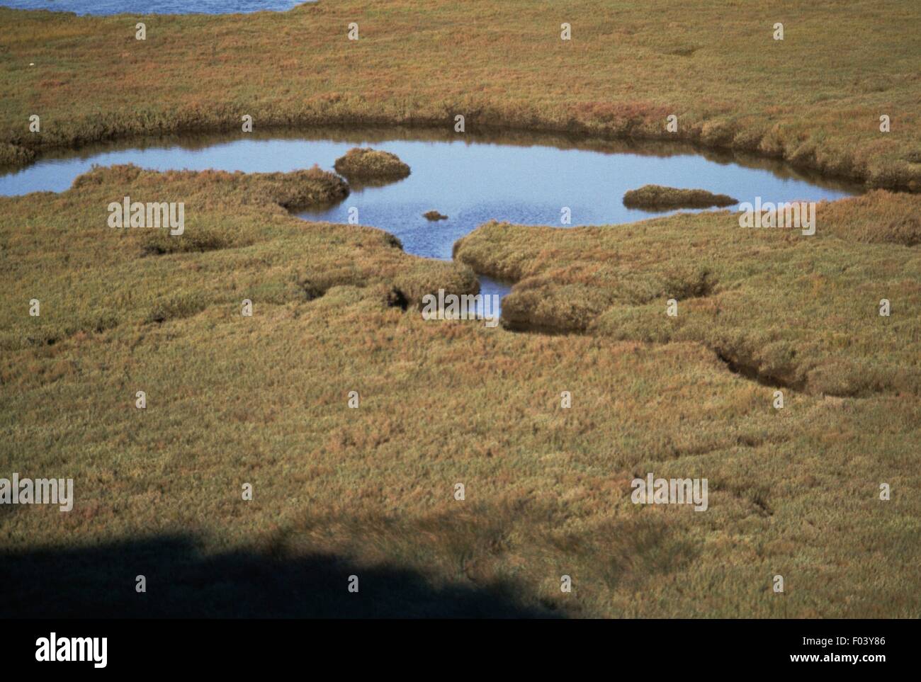 Lagoon dans la réserve naturelle de l'estuaire du Sado, Baixo Alentejo, Portugal. Banque D'Images