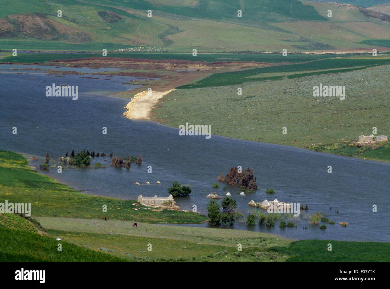 Paysage agricole près de Souk Arras, l'Algérie. Banque D'Images