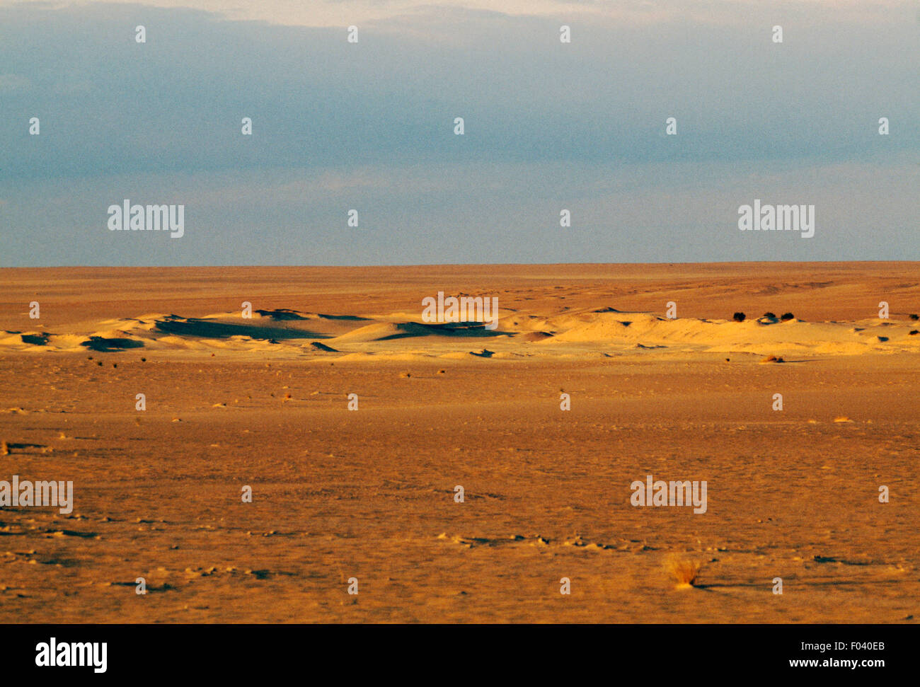 Paysage près de Touggourt, désert du Sahara, l'Algérie. Banque D'Images