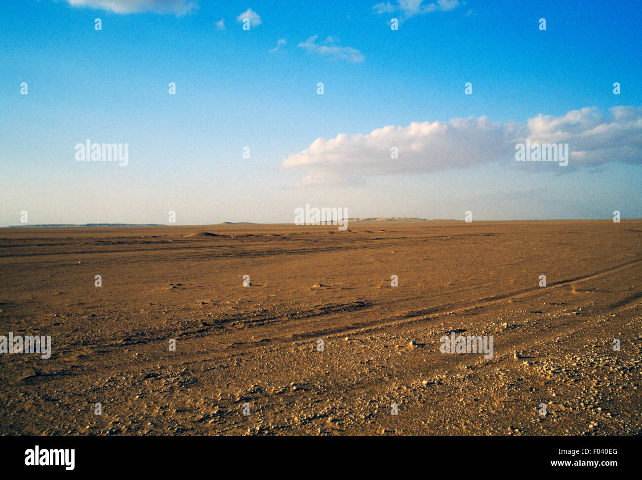Paysage près de Touggourt, désert du Sahara, l'Algérie. Banque D'Images