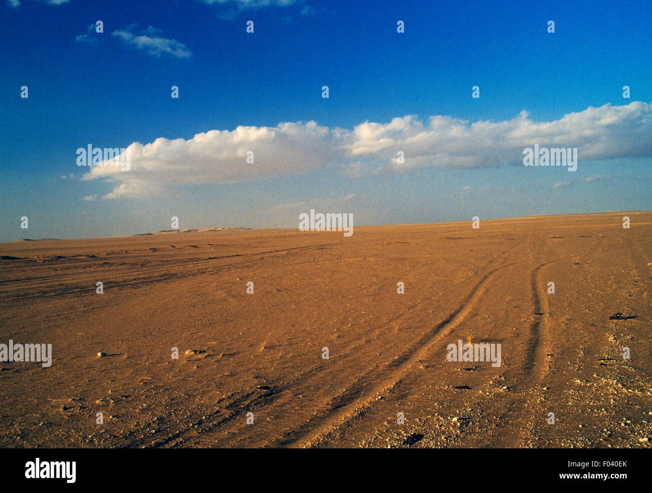 Paysage près de Touggourt, désert du Sahara, l'Algérie. Banque D'Images