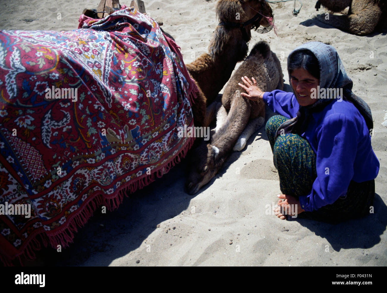 Femme de flatter un chameau, Side, Turquie. Banque D'Images