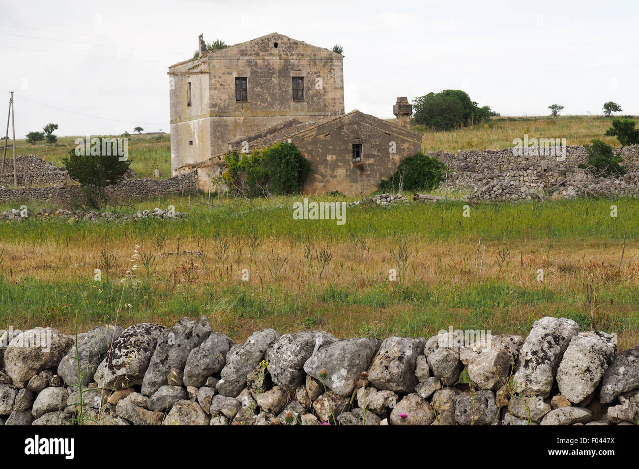 Mur de pierre ferme limite dans les Pouilles en Italie. Banque D'Images