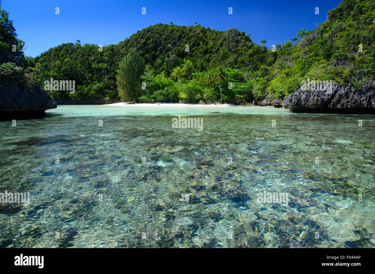 Une petite plage de sable blanc bordées de récifs coralliens et entouré de verdure, la zone de Misool, Raja Ampat, Indonésie, l'Océan Pacifique Banque D'Images