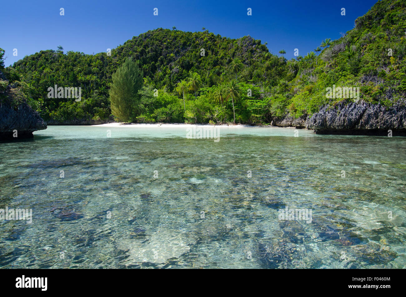 Une petite plage de sable blanc bordées de récifs coralliens et entouré de verdure, la zone de Misool, Raja Ampat, Indonésie, l'Océan Pacifique Banque D'Images