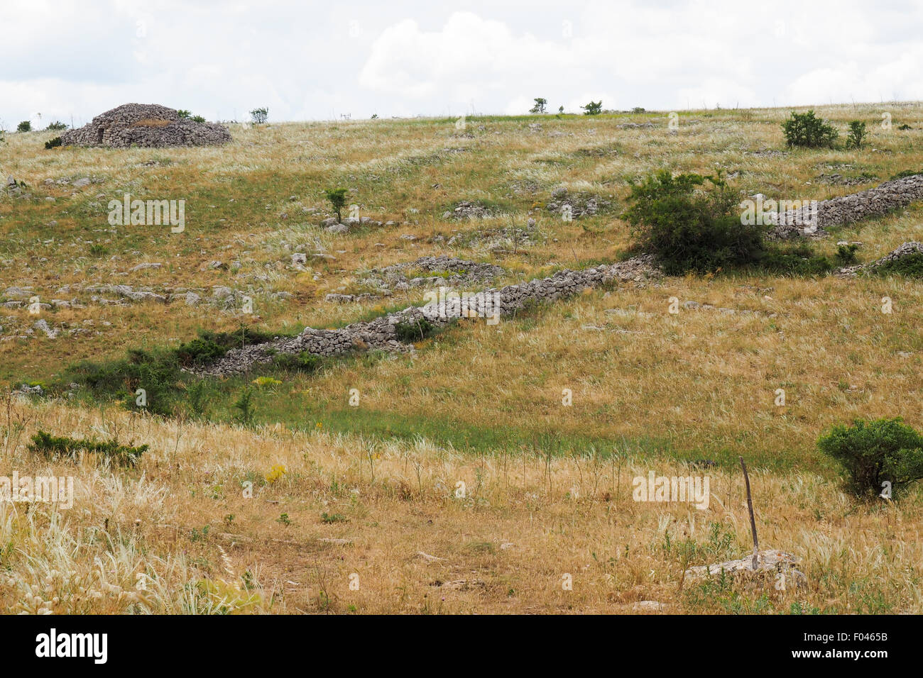 Les murs en pierre sèche et en refuge dans le champ. Banque D'Images
