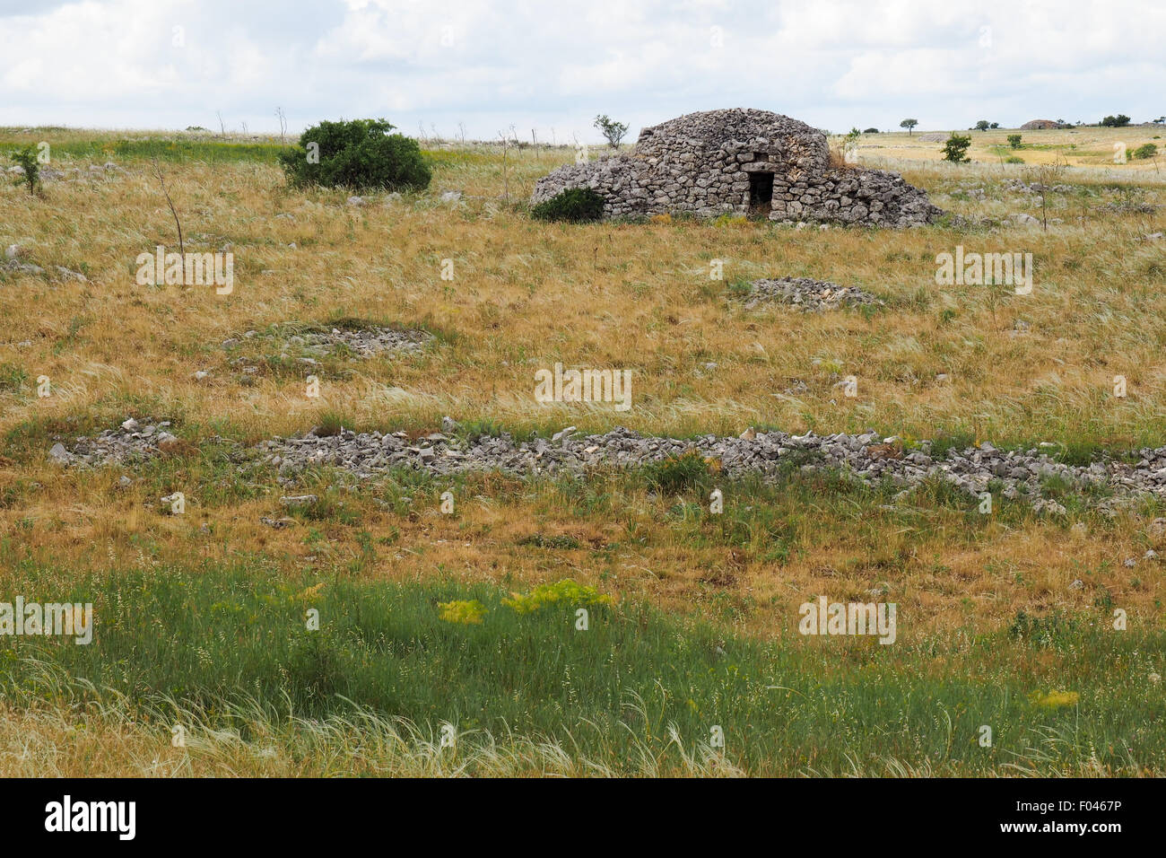 Les murs en pierre sèche et trullo, une cabane en pierre sèche, dans le champ. Banque D'Images