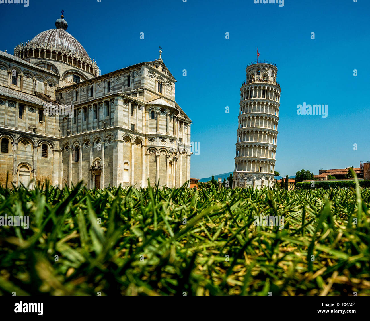 La cathédrale de Pise et de la célèbre tour penchée de Pise. Toscane, Italie tourné à partir d'un ange faible avec l'herbe au premier plan. Banque D'Images