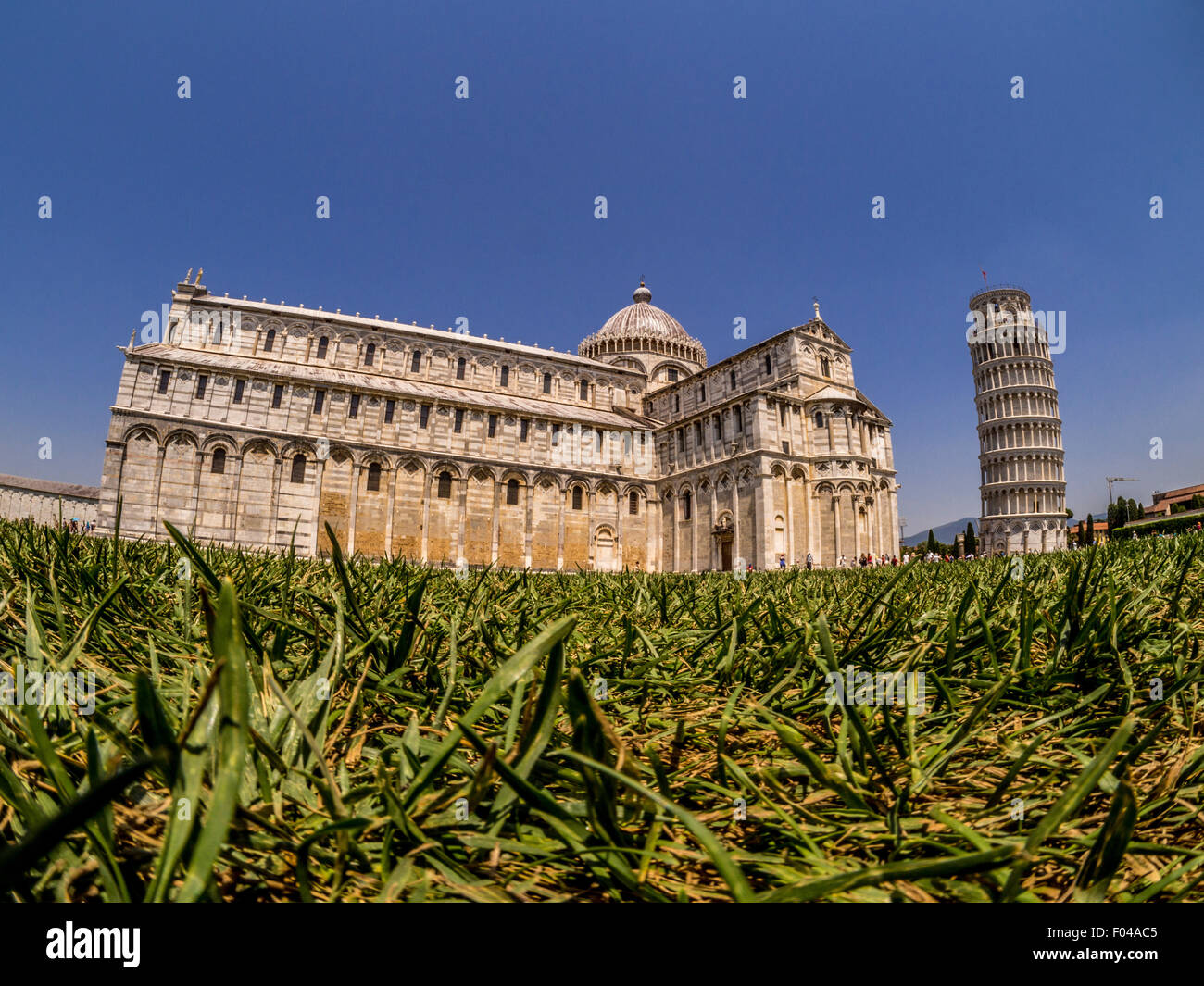 La cathédrale de Pise et de la célèbre tour penchée de Pise. La toscane, italie Banque D'Images