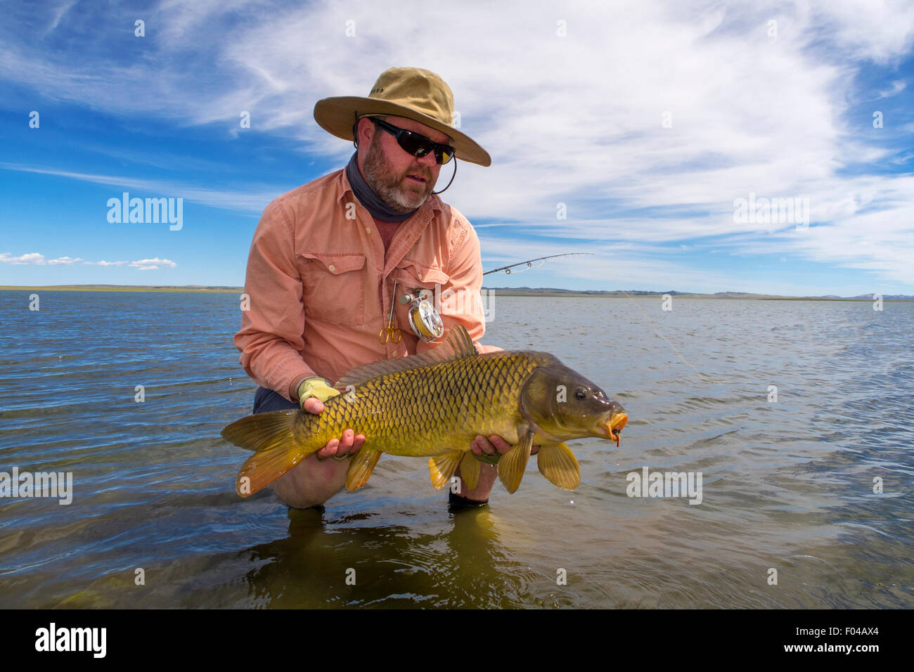 La pêche à la mouche avec des carpes pris dans un lac peu profond Banque D'Images