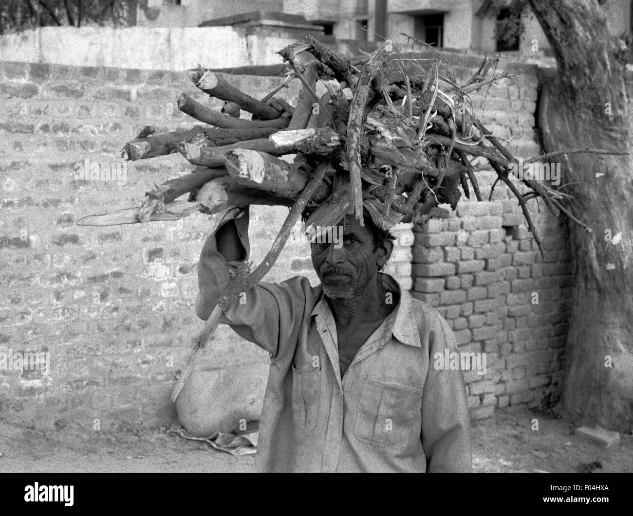 Man carrying wood brian mcguire Banque D'Images