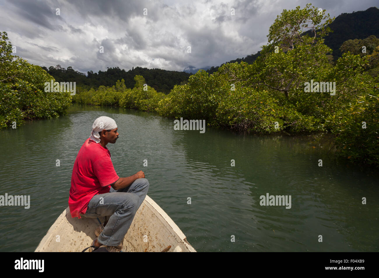 Un guide assis sur l'arc d'un bateau se déplaçant sur l'eau côtière vers la végétation côtière dans la partie nord de l'île de Seram, à Maluku, en Indonésie. Banque D'Images