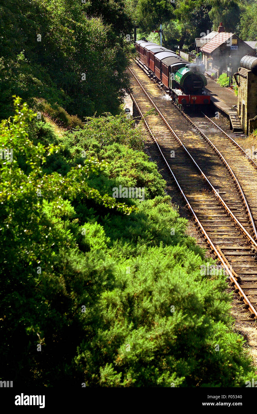 En train à vapeur sur la station de chemin de fer Tanfield Banque D'Images