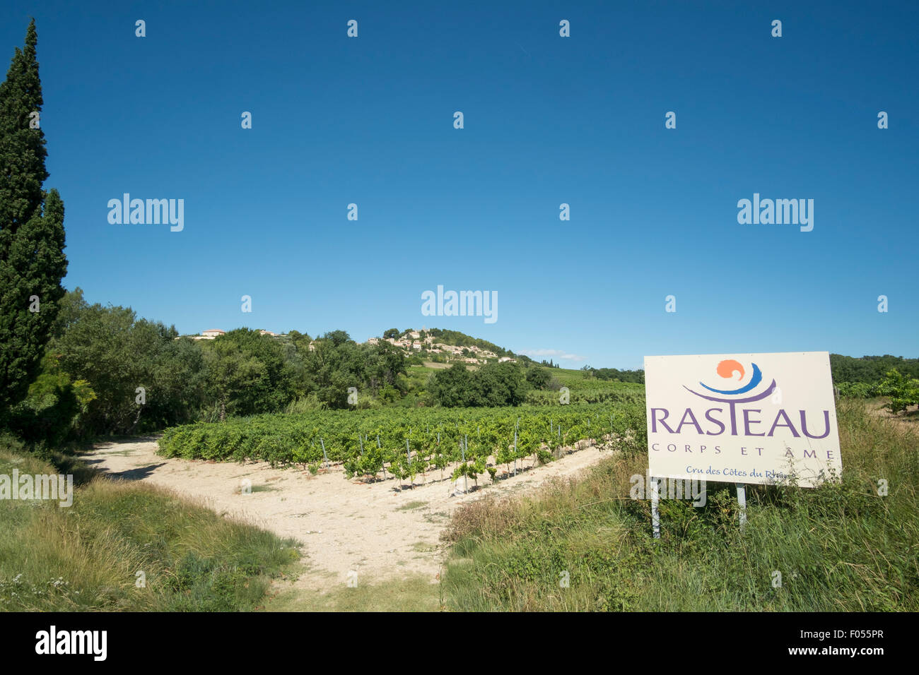 Vinification hill village de Rasteau dans le Vaucluse, Provence Alpes Cote d'Azur, France Banque D'Images