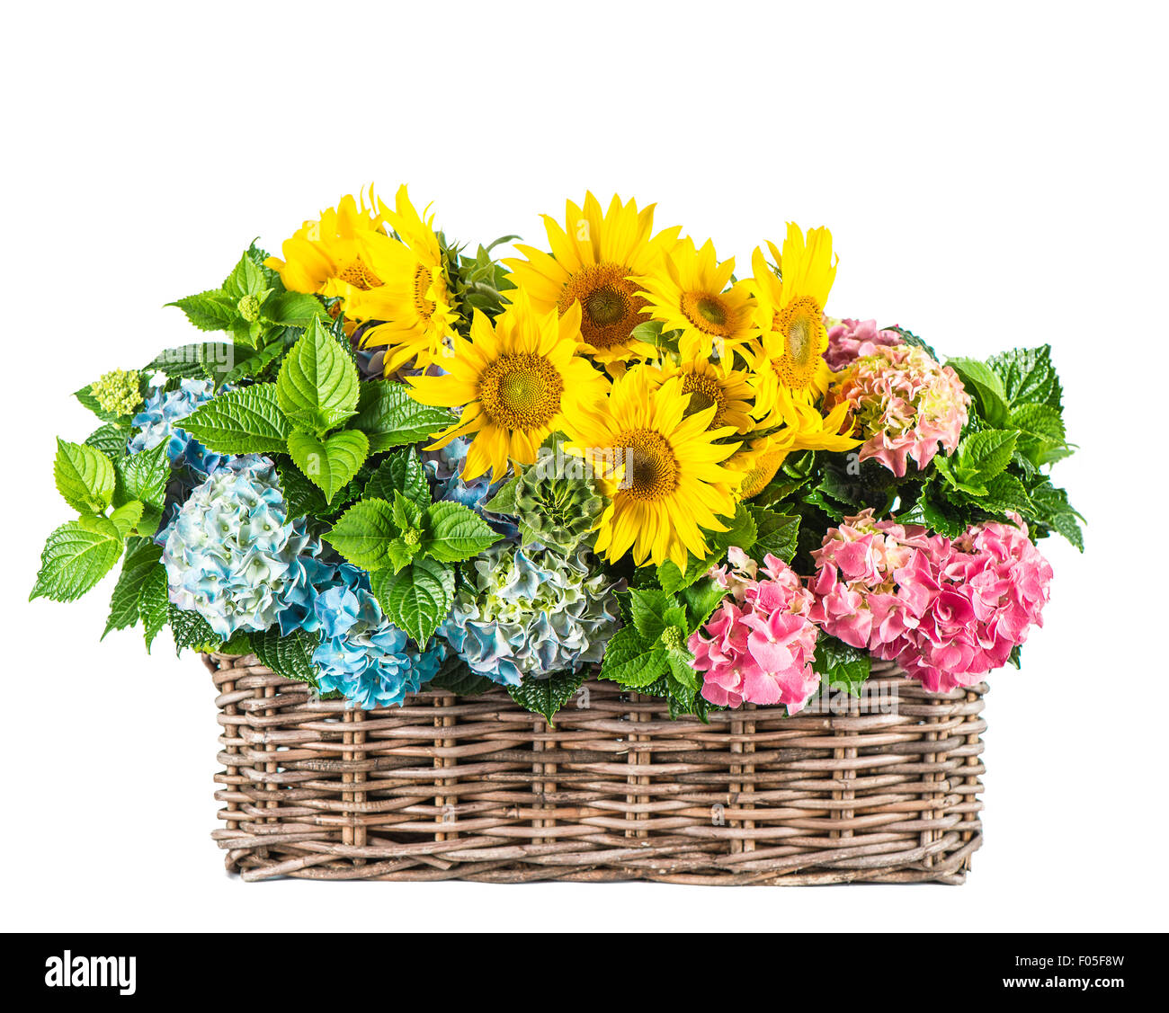 Tournesols et hortensia fleurs. Fleurs d'été dans panier isolé sur fond blanc Banque D'Images