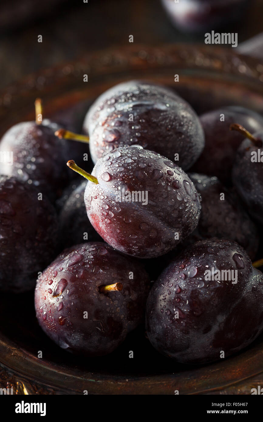 Les prunes pourpres mûres organiques prêt à manger Banque D'Images