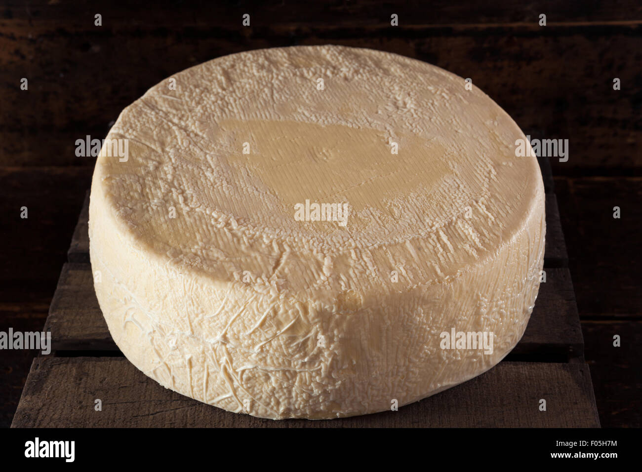 Grande Roue de fromage blanc biologique Lire pour couper Banque D'Images