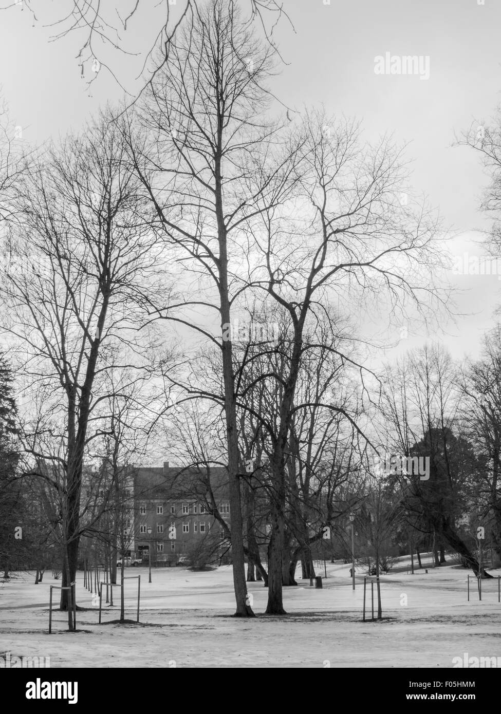 Paysage d'hiver au parc Vigeland Banque D'Images