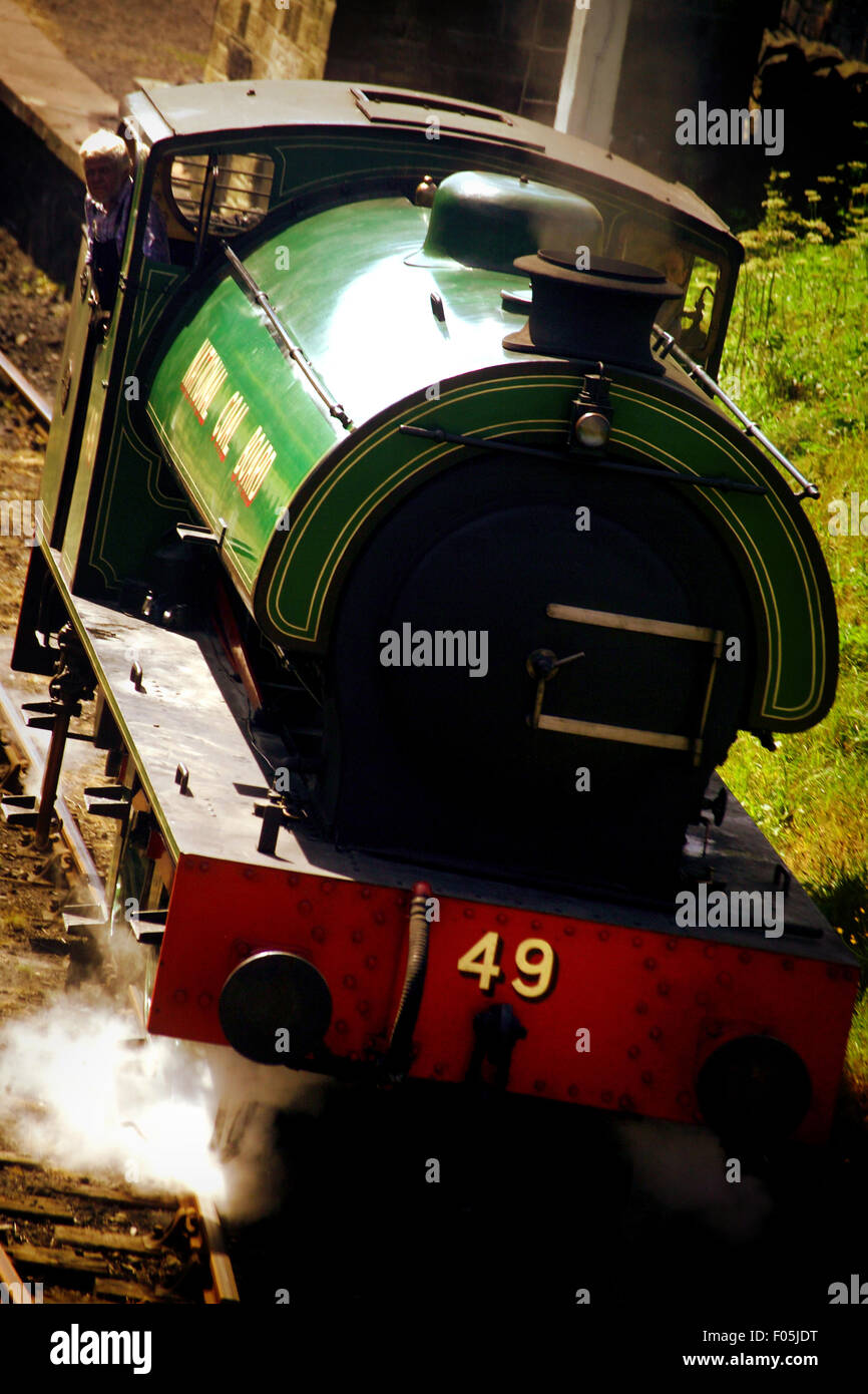 En train à vapeur sur la station de chemin de fer Tanfield Banque D'Images