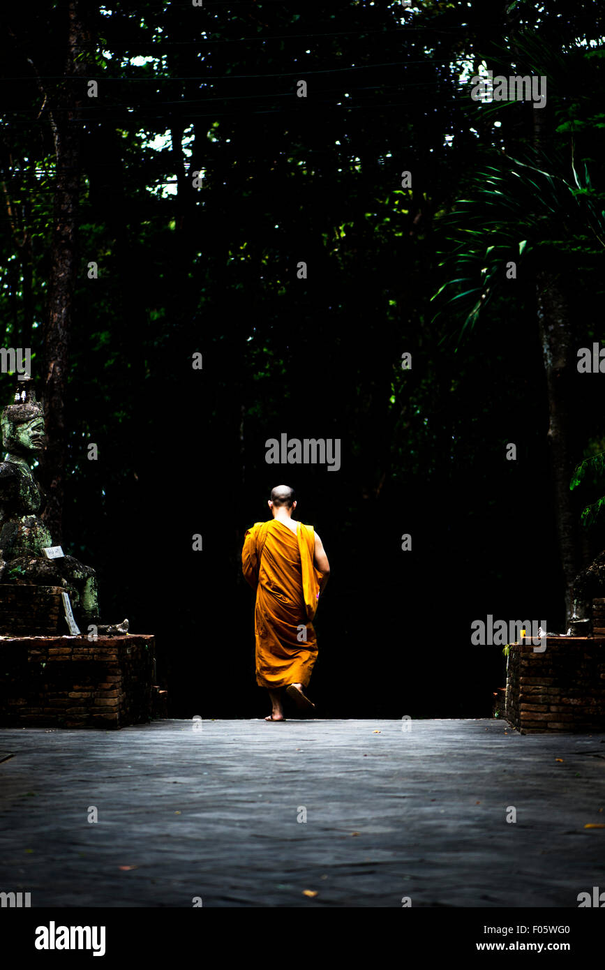 Un Buddhis moine dans un forrest temple à Chiang Mai, Thaïlande, Asie. Banque D'Images