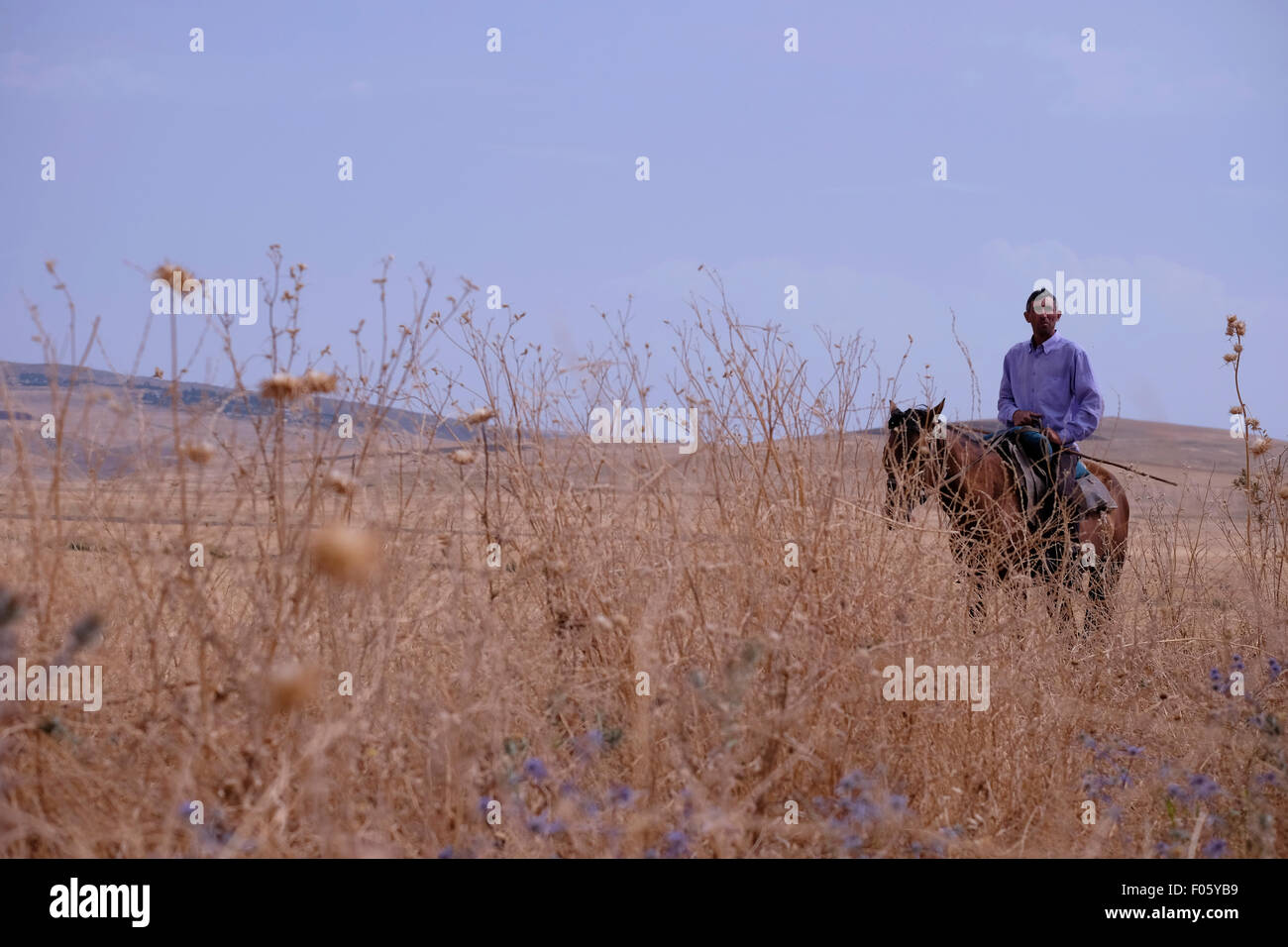 Un villageois monté sur un cheval dans une région rurale en Azerbaïdjan Banque D'Images