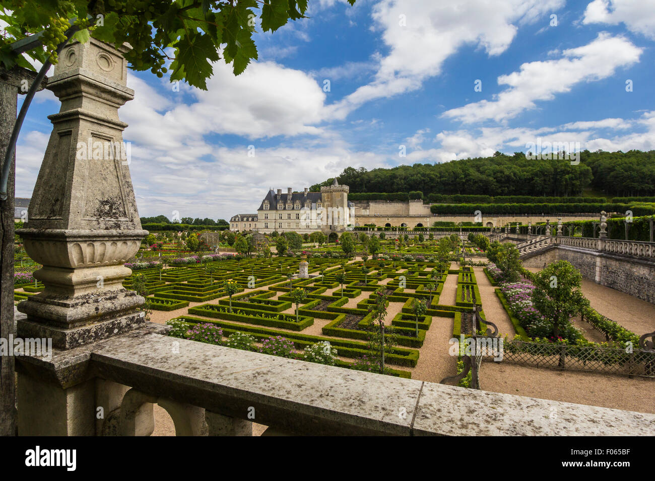 Jardins du château de Château de Villandry dans l' Indre-et-Loir, France Banque D'Images