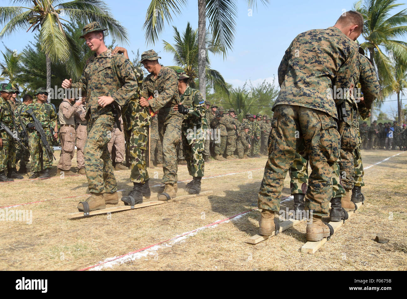 Situbondo, Indonésie. 8e août, 2015. Les membres du Corps des Marines indonésiens et leurs homologues des Corps des Marines des États-Unis (USMC) jouent bakiak la race, un jeu traditionnel, après la préparation de la coopération 2015 à flot et de la formation (CARAT) exercer à Situbondo (est de Java, Indonésie, le 8 août 2015. Credit : Widjono/Xinhua/Alamy Live News Banque D'Images