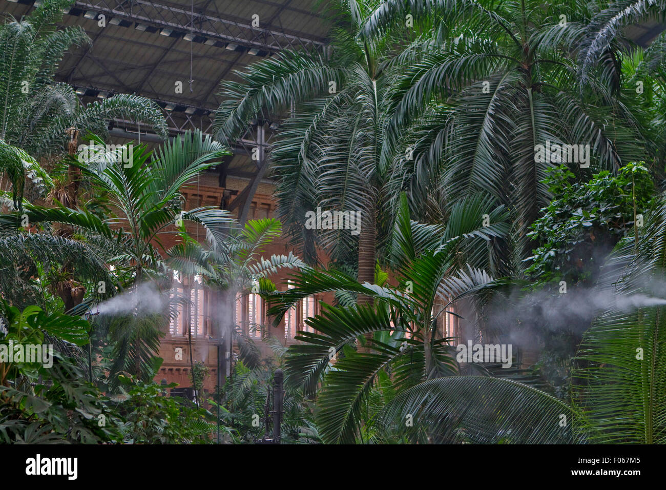 Jardin tropical intérieur de la gare d'Atocha de Madrid Banque D'Images