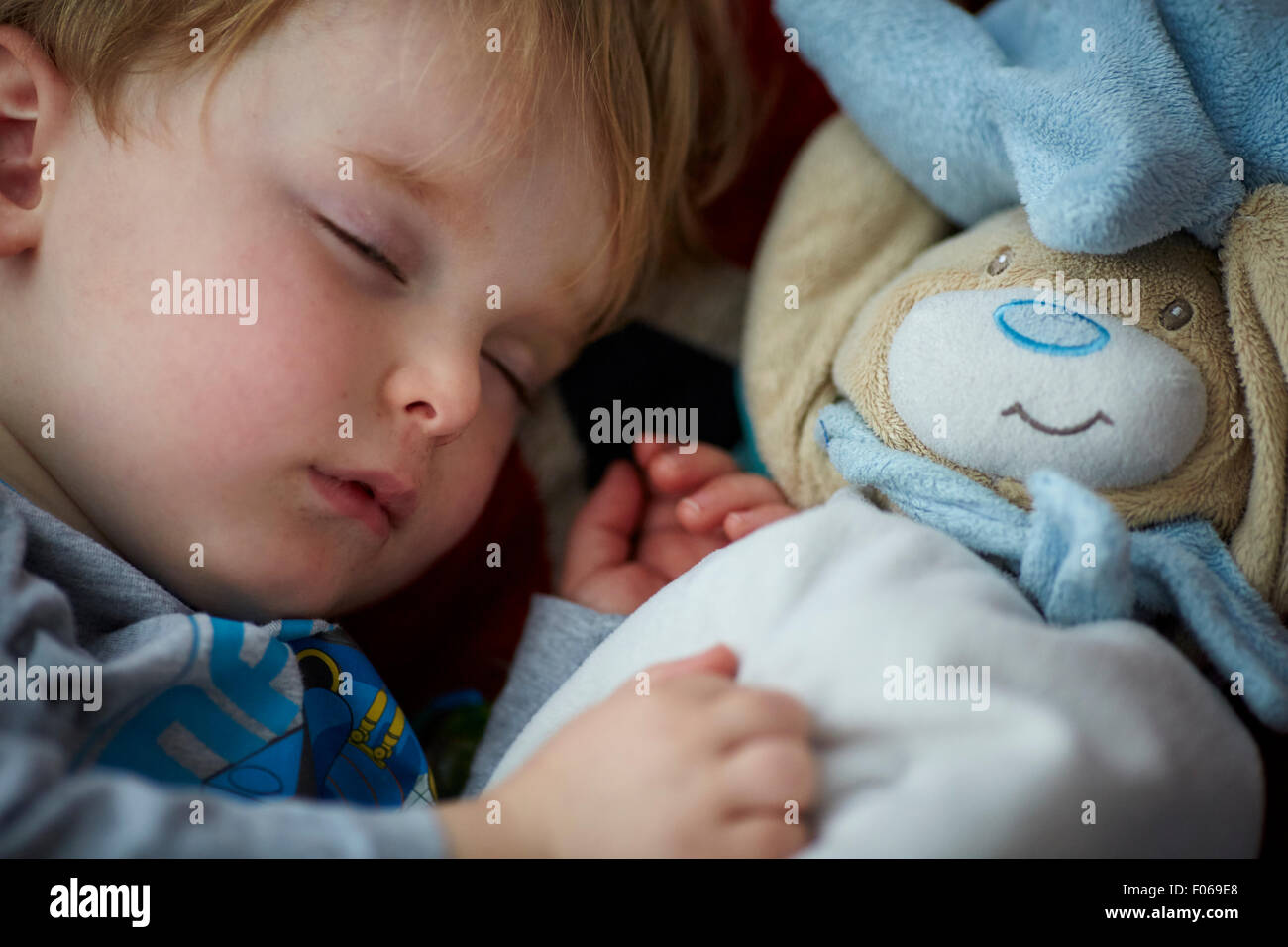 Petit enfant garçon endormi avec son ours en peluche comme confuter jeunes bébés bébé enfant Les enfants Les enfants en bas âge du nouveau nés avant Banque D'Images
