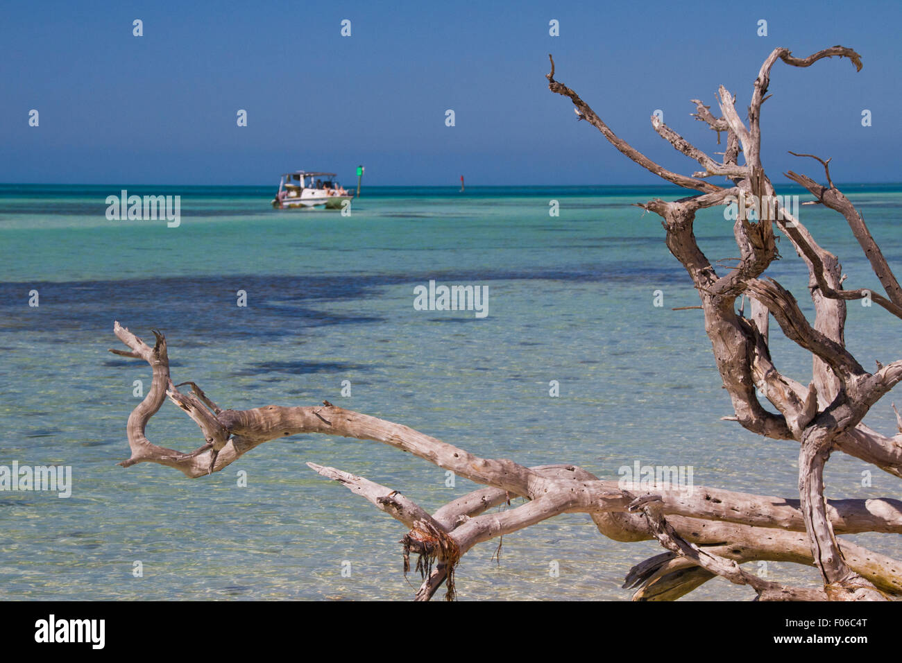 À la recherche du rivage d'une plage isolée au large de Key West à un petit bateau ancré dans les eaux bleu turquoise Banque D'Images