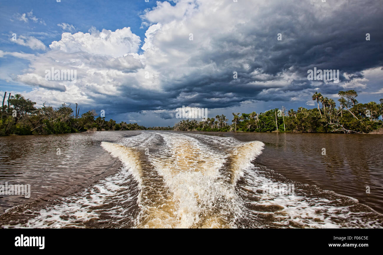 Vue d'un service de bateau le barattage de l'eaux tannique Waccasassa River dans l'Ouest Central Florida Banque D'Images