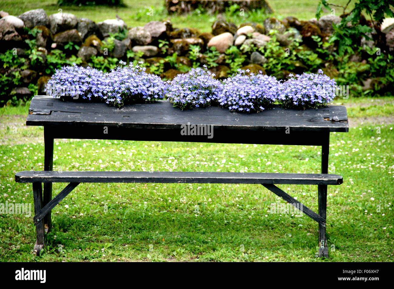 Banc et table en bois Banque D'Images