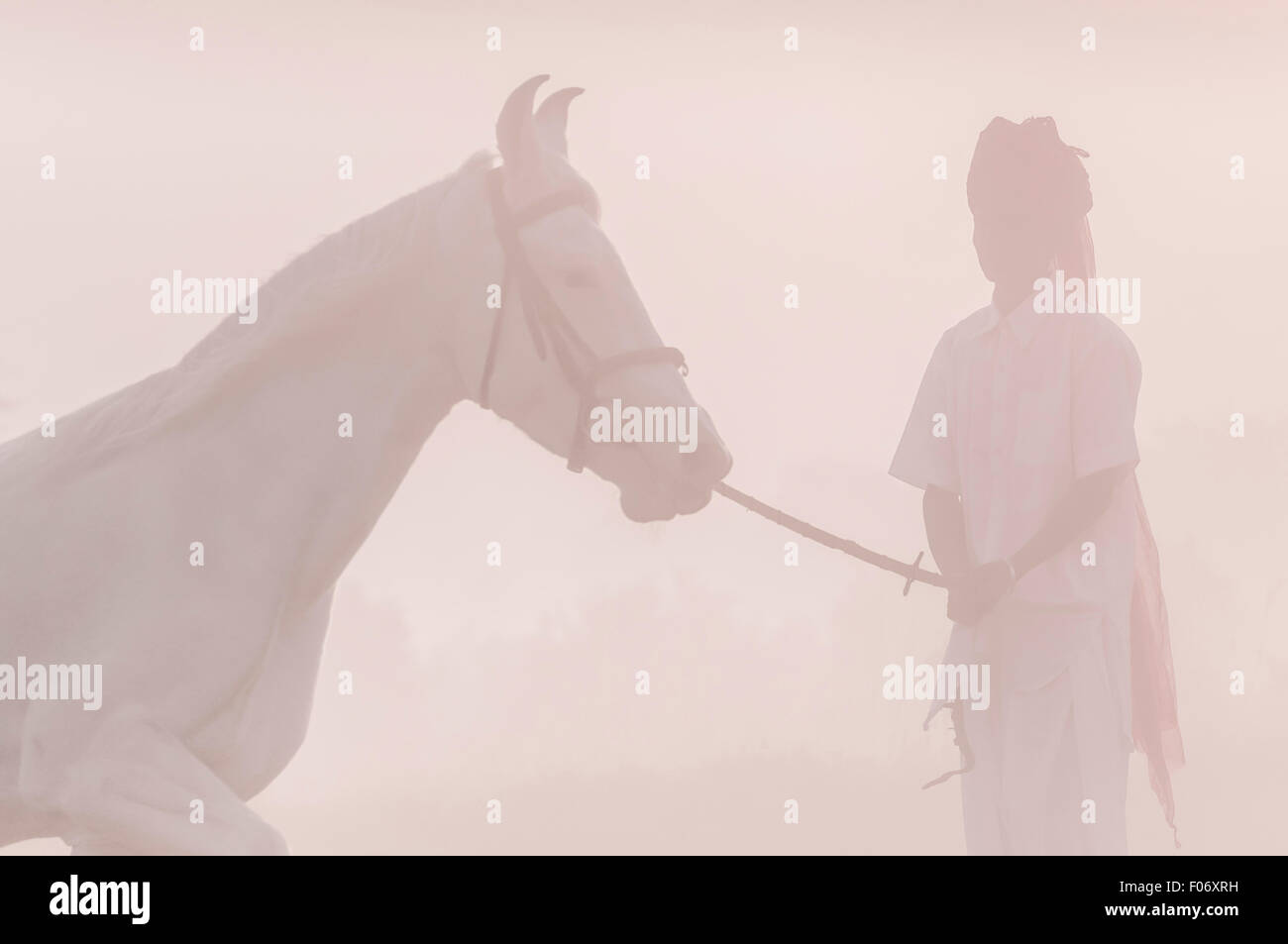 L'homme indien se précipitant son cheval gris en cercles dans la brume matinale rose Banque D'Images