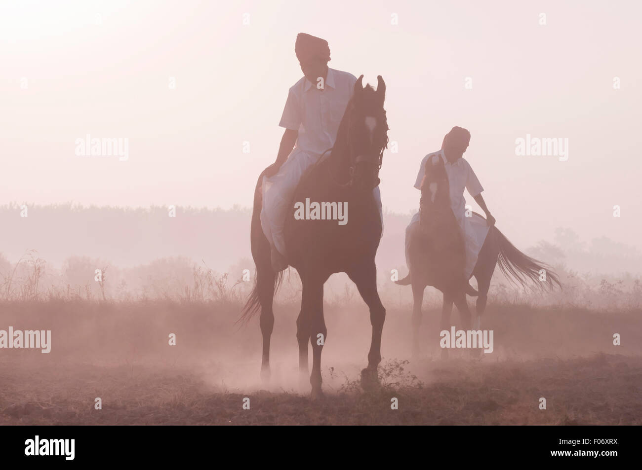 Deux hommes indiens équitation leurs chevaux Marwari bareback à l'aube. Banque D'Images