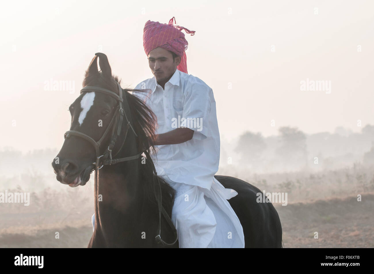L'homme indien Marwari son cheval à l'aube à travers les terres agricoles avec le soleil levant derrière Banque D'Images