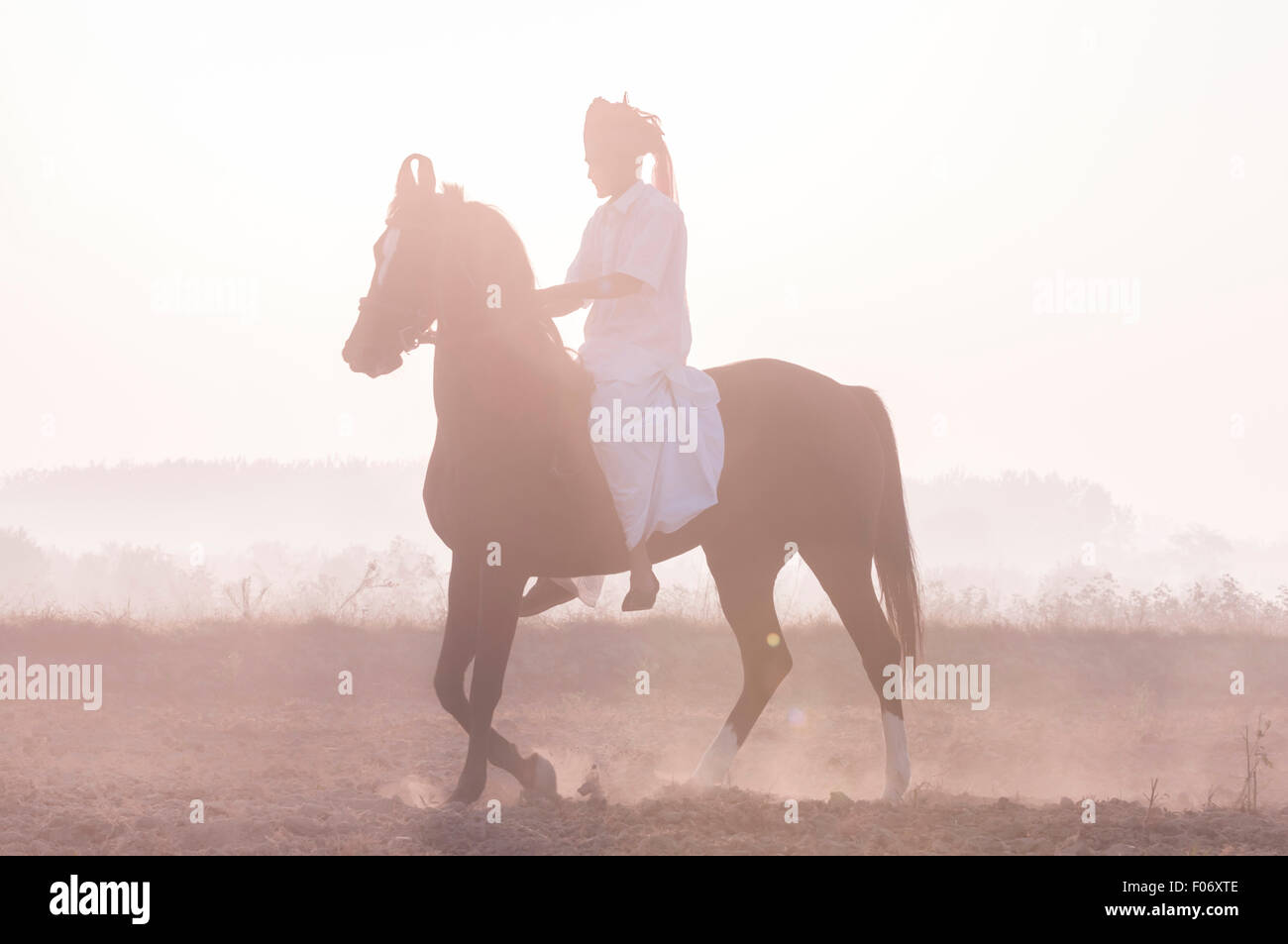 L'homme indien Marwari son cheval à l'aube à travers les terres agricoles avec le soleil levant derrière Banque D'Images
