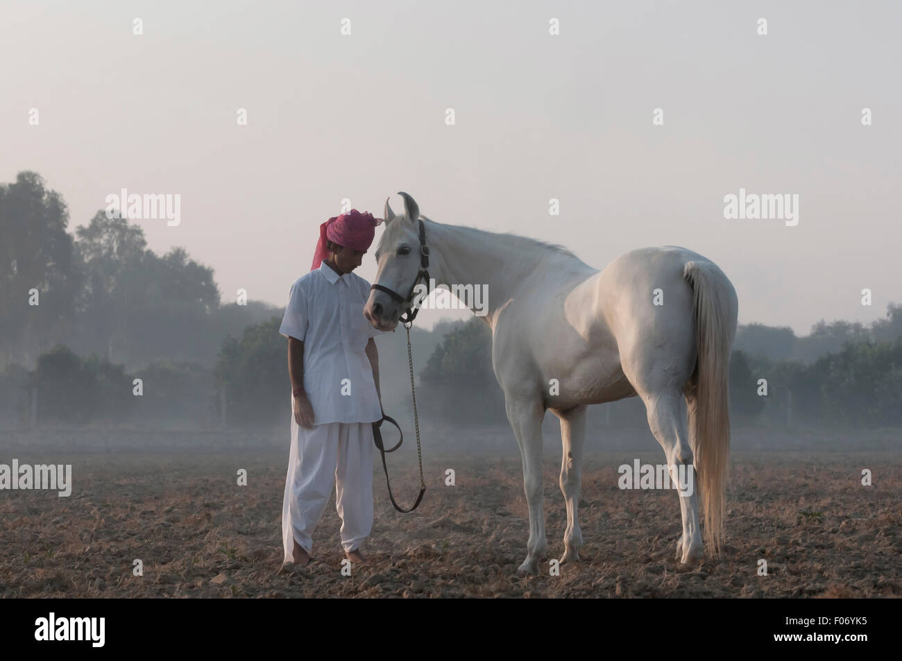 L'homme indien se trouve face à face avec son cheval marwari blanc à l'aube dans les domaines du Pendjab. Banque D'Images