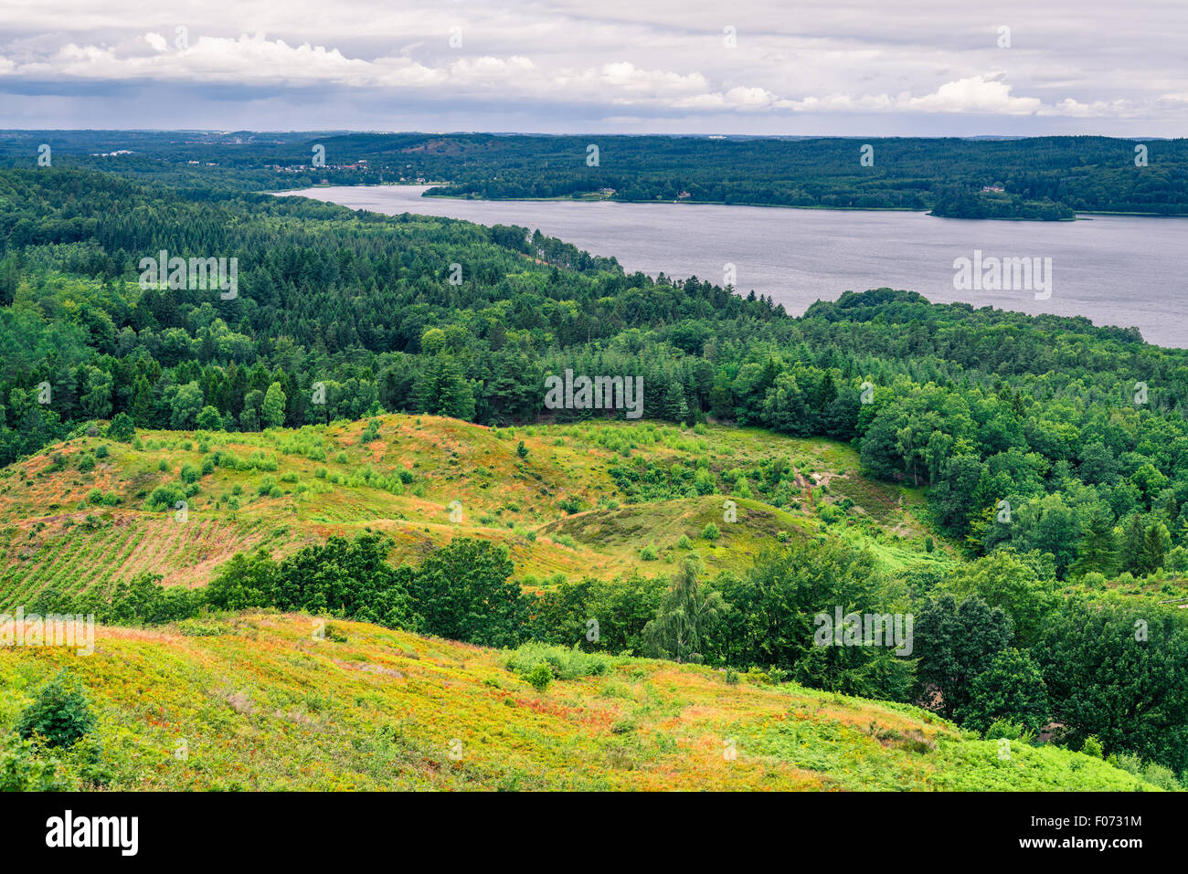 Paysage avec le lac Vert Gudenaaen à Silkeborg, Danemark Banque D'Images