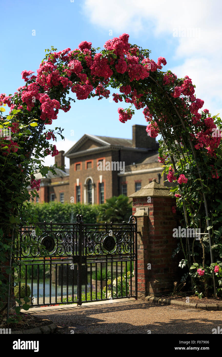 Une rose arch dans le jardins de Kensington Palace, Londres, avec le palais en arrière-plan (l'arrière-plan alt : F078A) Banque D'Images