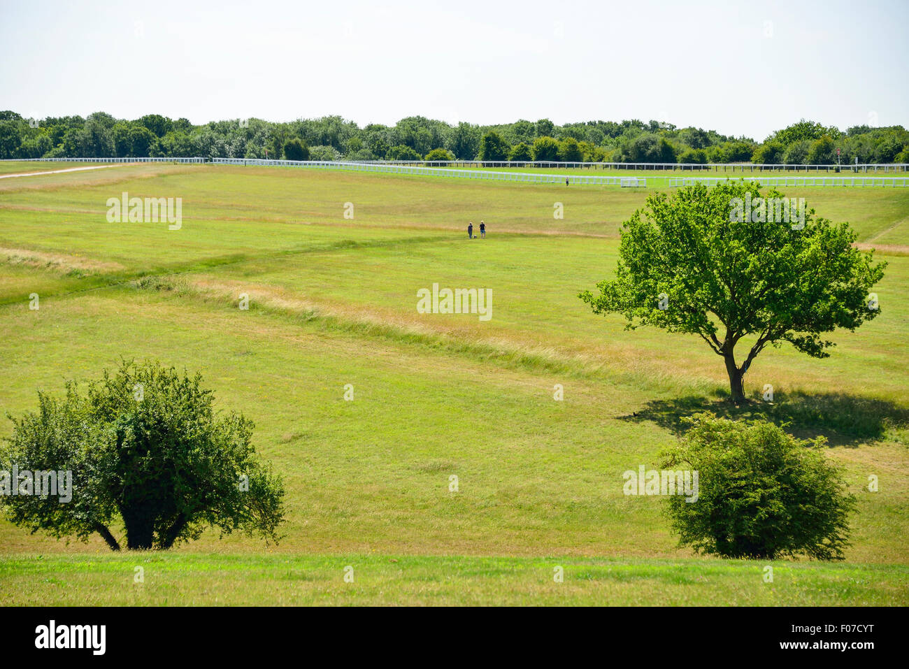 Couple en train de marcher sur Epsom Downs, Epsom, Surrey, Angleterre, Royaume-Uni Banque D'Images