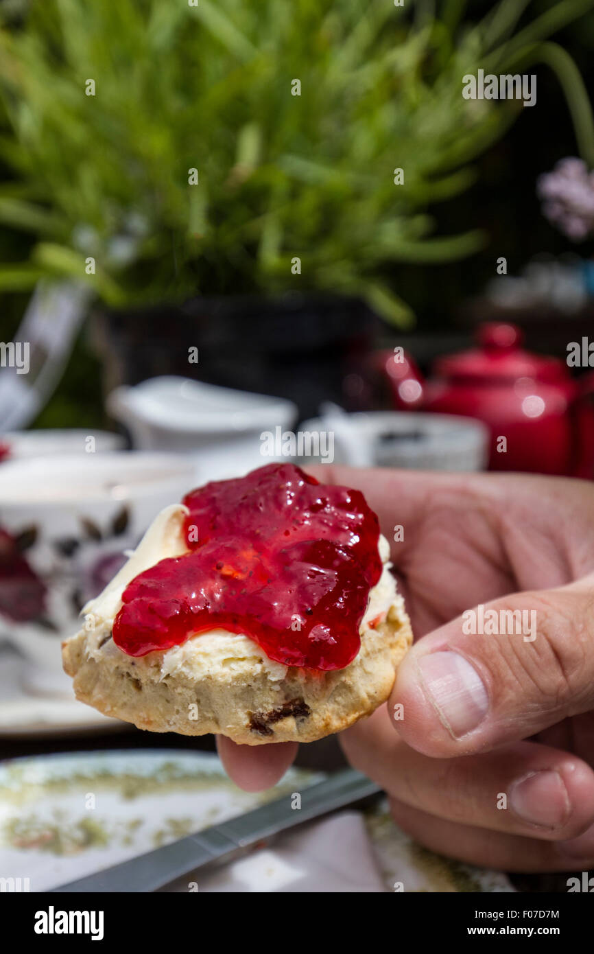 Homme tenant un thé à la crème avec crème caillée et confiture de fraise Banque D'Images