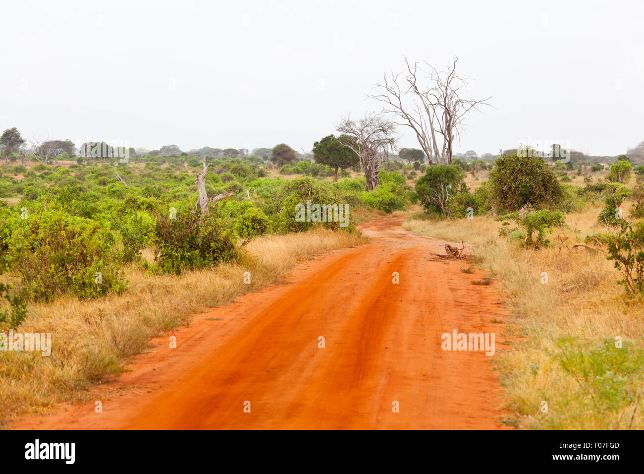 Paysage dans le parc national de Tsavo East au Kenya. Banque D'Images