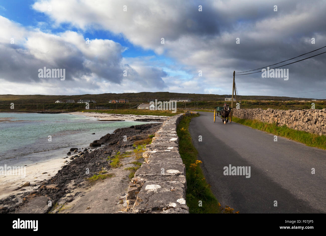 Poney et piège sur la route de village à Bheanain Teampall Kilronan, l'Inishmore, les îles Aran, comté de Galway, Irlande Banque D'Images