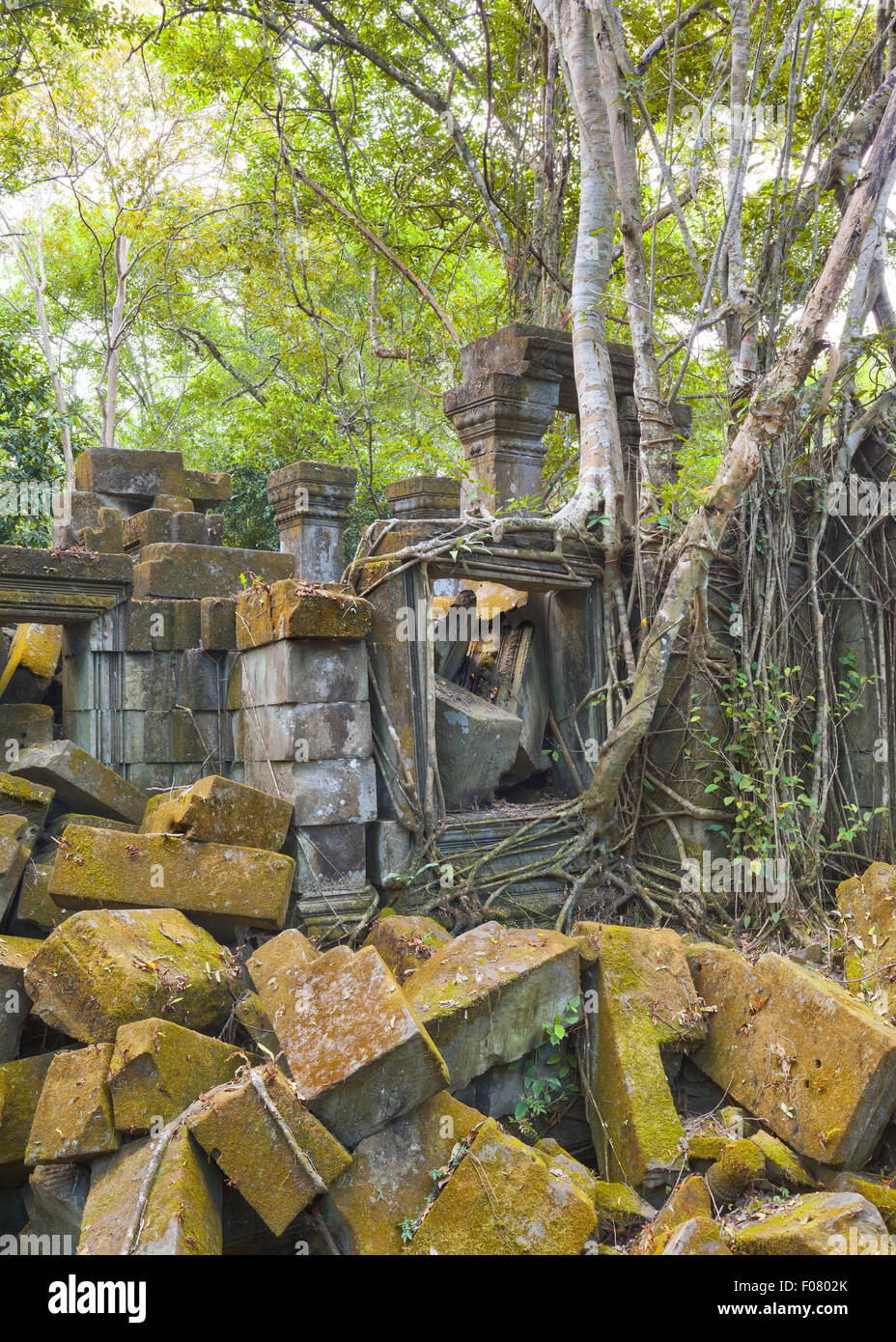 Beng Mealea Temple, Angkor, Cambodge Banque D'Images