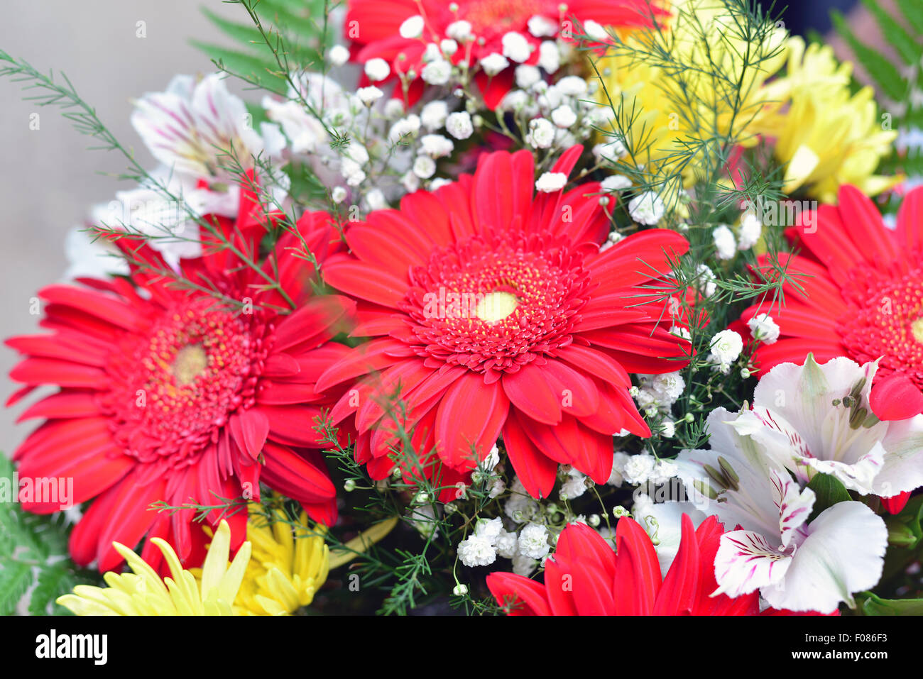 Bouquet de chrysanthèmes jaunes et rouges gerbera Banque D'Images