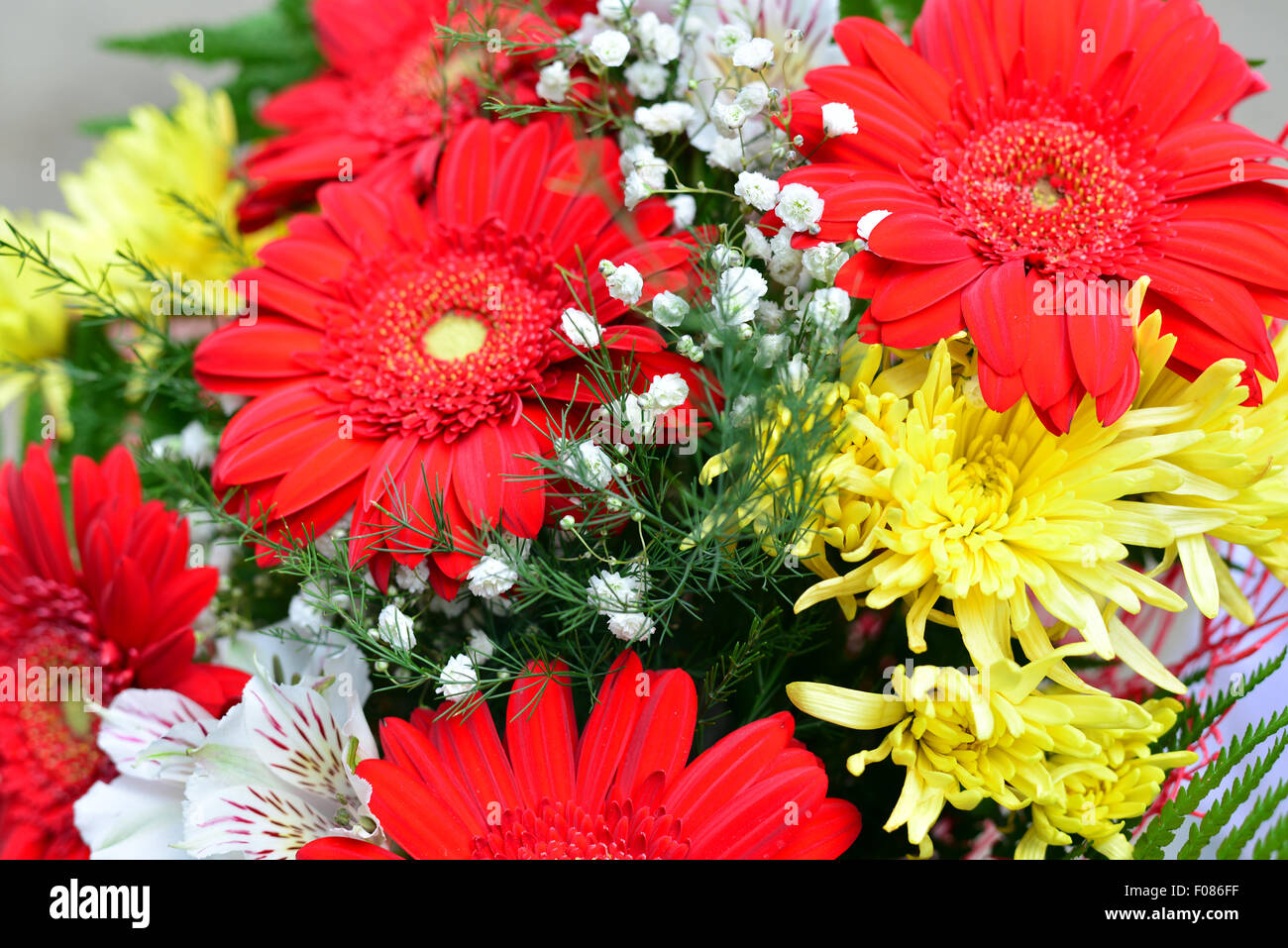 Bouquet de chrysanthèmes jaunes et rouges gerbera Banque D'Images