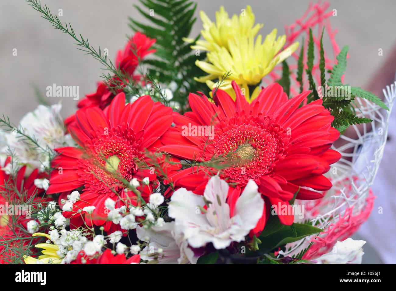 Bouquet de chrysanthèmes jaunes et rouges gerbera Banque D'Images