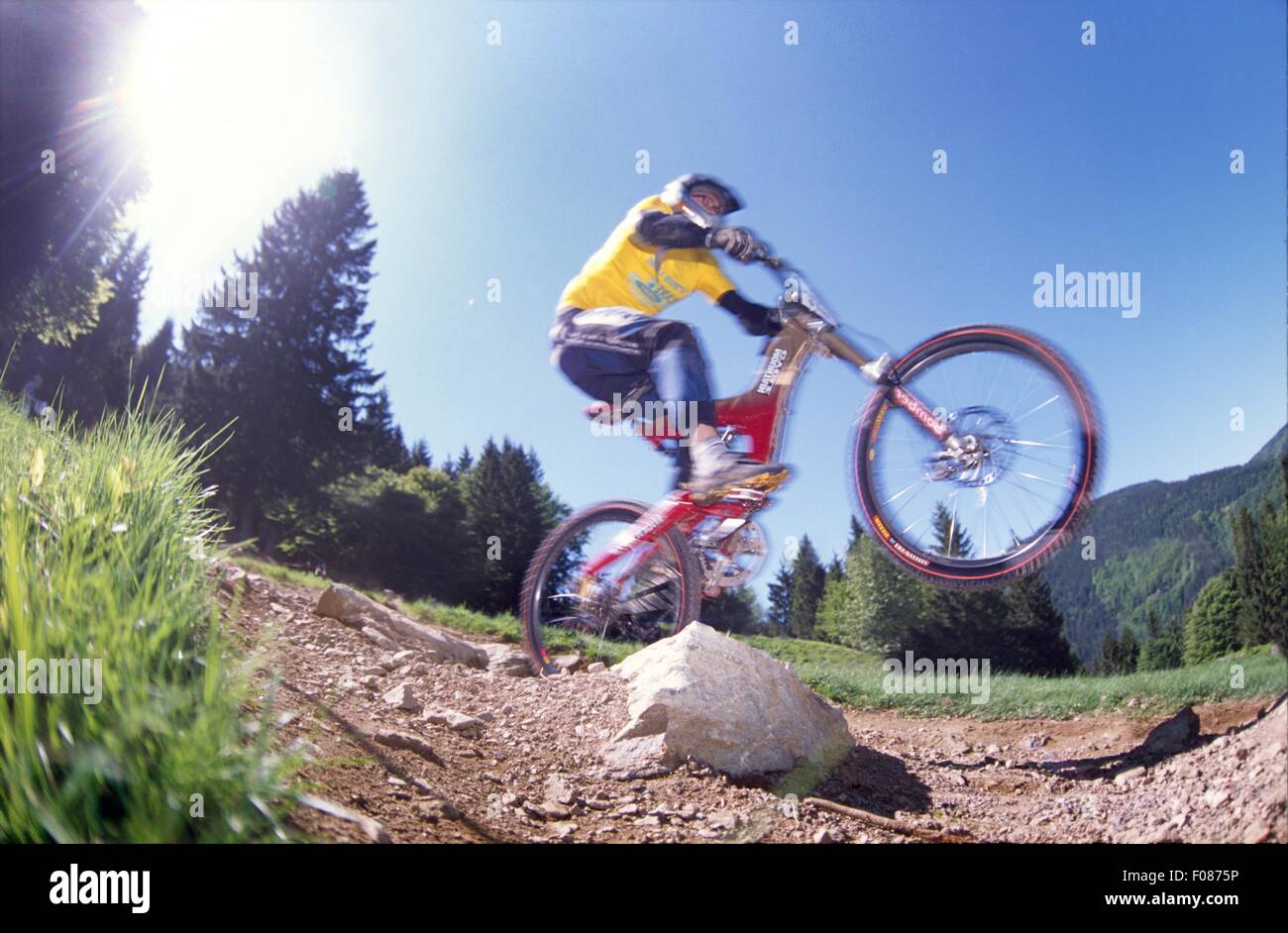 Mountain biker riding bike, Forêt-Noire, Bade-Wurtemberg, Allemagne Banque D'Images